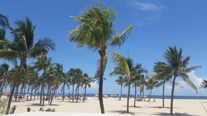 Best Western Ft Lauderdale I-95 Inn Fort Lauderdale Dış mekan fotoğraf